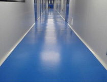 制藥廠(chǎng)房 車(chē)間 實(shí)驗(yàn)室 高分子彩色工業(yè)地板 彩色地坪地面處理材料